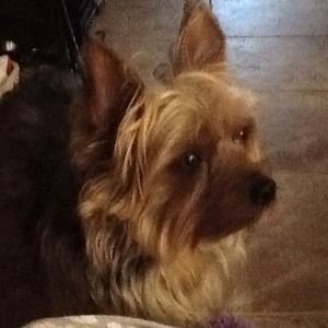 Meet your Posher, Linda